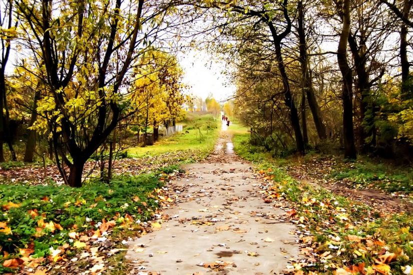 Камінь-Каширський з panoramio.com - Камінь-Каширський
