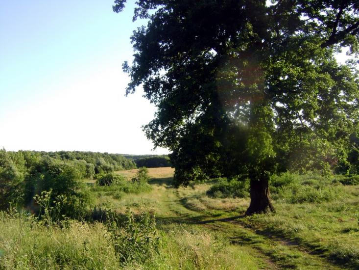 Гвоздів з panoramio.com - Гвоздів