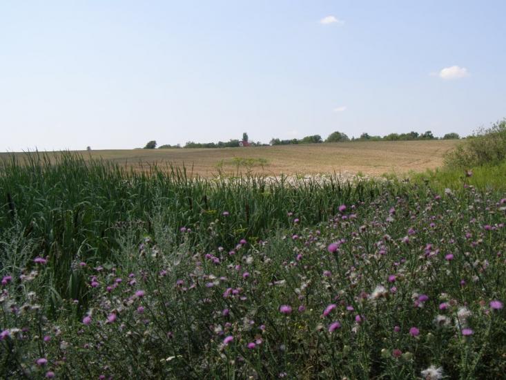Пінчуки з panoramio.com - Пінчуки