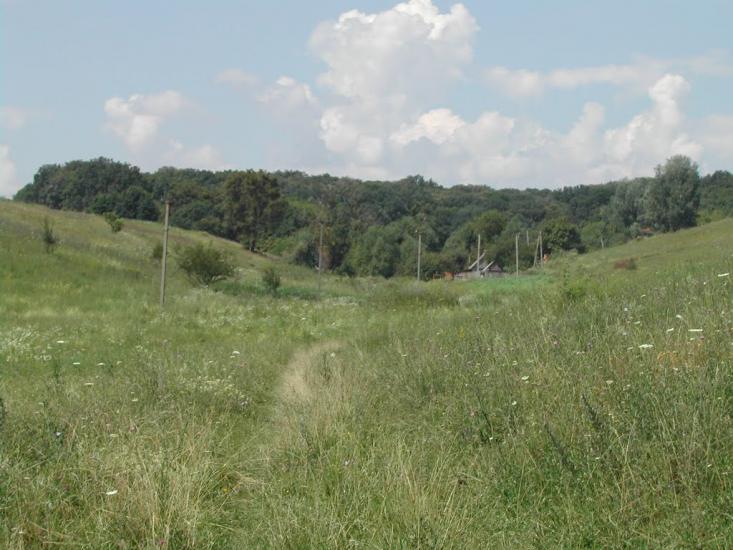 Федорівка з panoramio.com - Федорівка