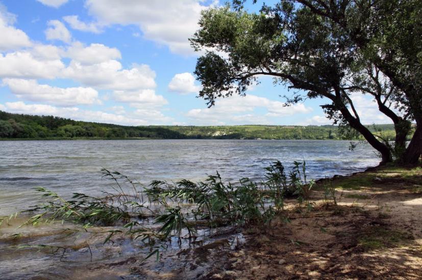 Цеханівка з panoramio.com - Цеханівка