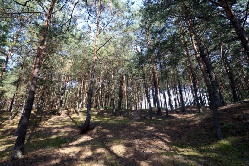 Буцин з panoramio.com - Буцин