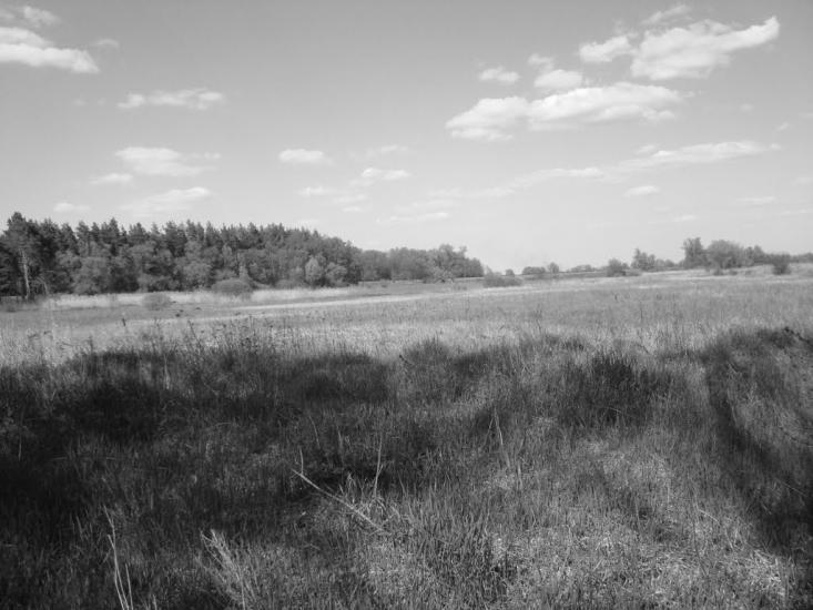 Наталине з panoramio.com - Наталино