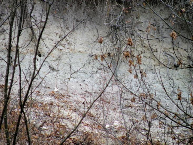 Кружилівка з panoramio.com - Kruzhylivka
