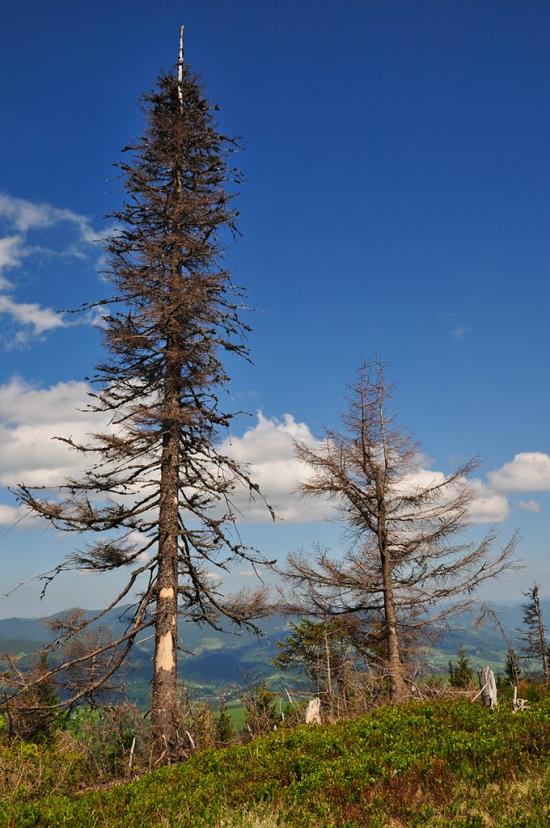 Кривопілля з panoramio.com - Кривопілля