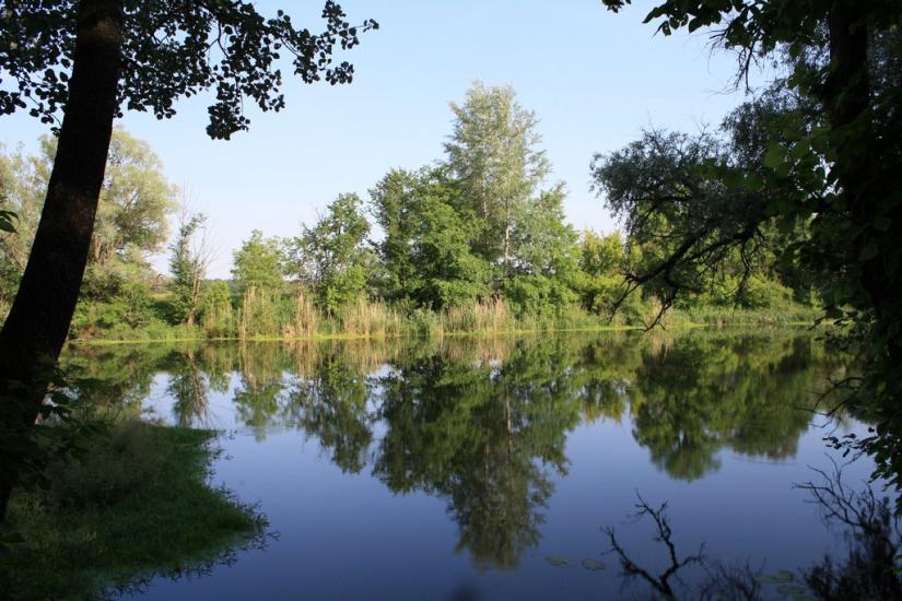 Мохнач з panoramio.com - Мохнач
