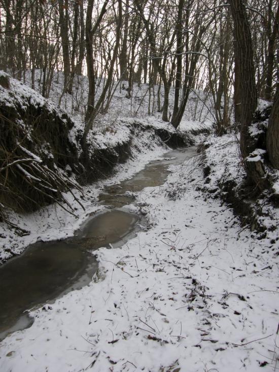 Радісне з panoramio.com - Радостное