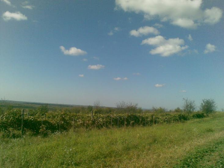 Холмовець з panoramio.com - Холмовец
