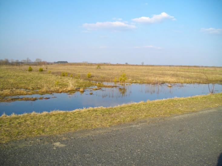 Озеро з panoramio.com - Озеро