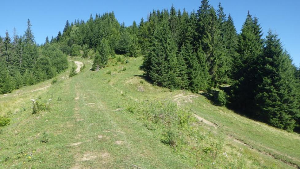 Сенечів з panoramio.com - Сенечев
