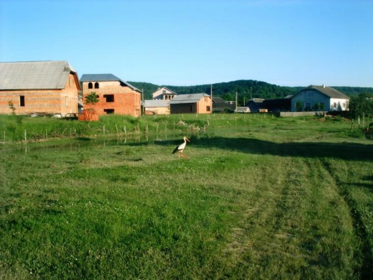 Підмихайля з panoramio.com - Подмихайло