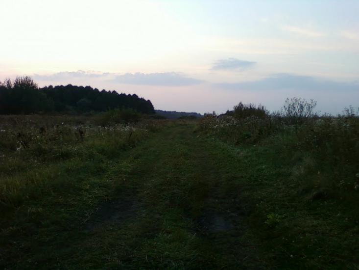 Сальник з panoramio.com - Сальник