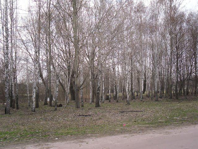 Вільшане з panoramio.com - Vilshane