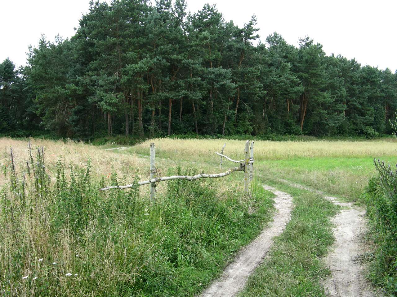 Село Товпижин - Товпижин