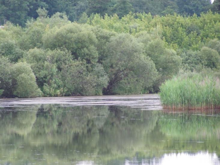 Березівка з panoramio.com - Березівка