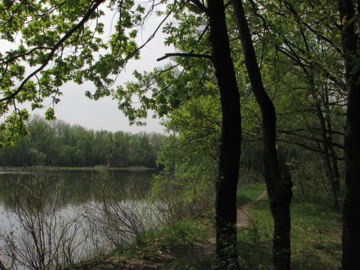 Потоки з panoramio.com - Потоки