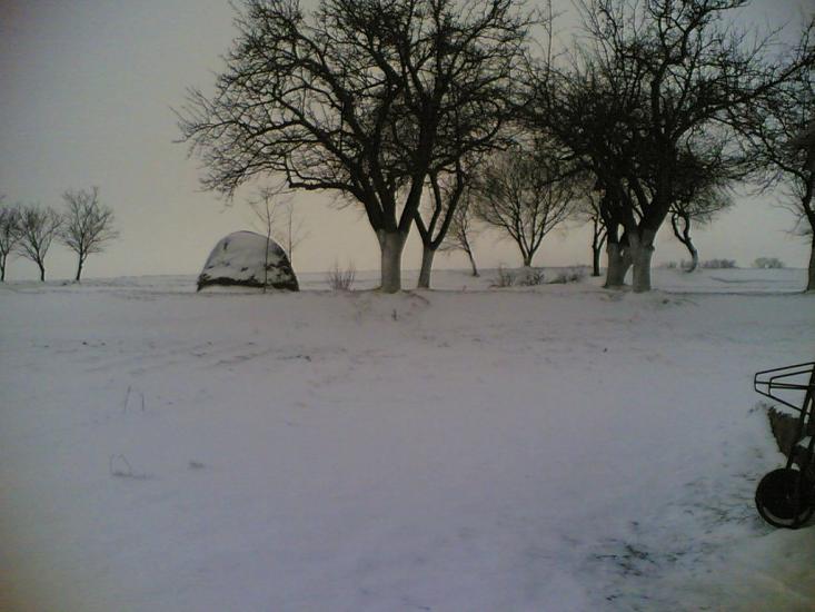 Великі Бірки з panoramio.com - Великие Борки