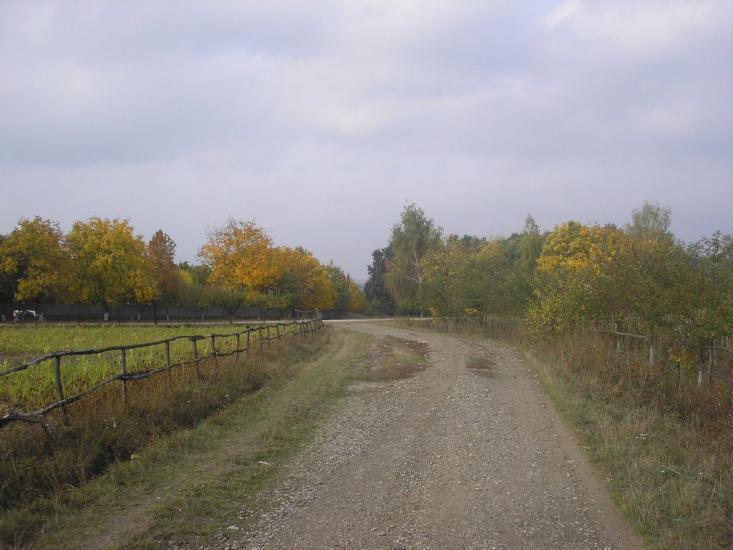 Кормань з panoramio.com - Кормань