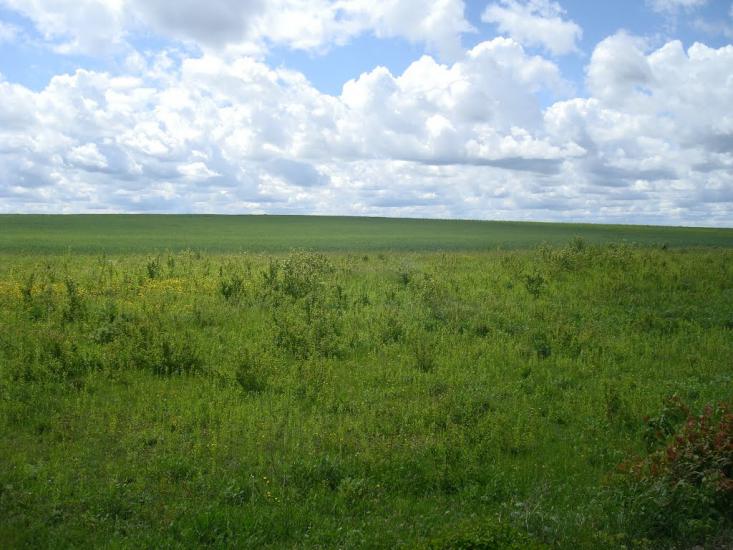 Балакири з panoramio.com - Балакиры