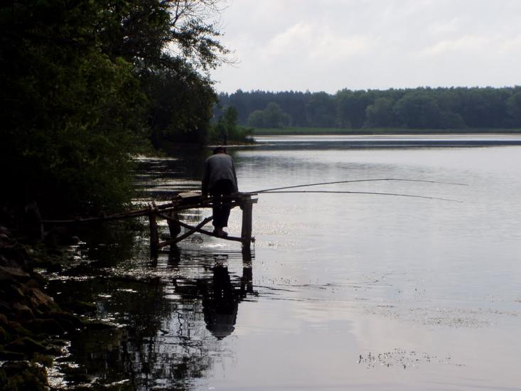 Гороховатка з panoramio.com - Gorokhovatka