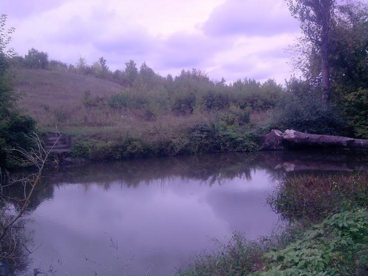 Збаржівка з panoramio.com - Збаржівка