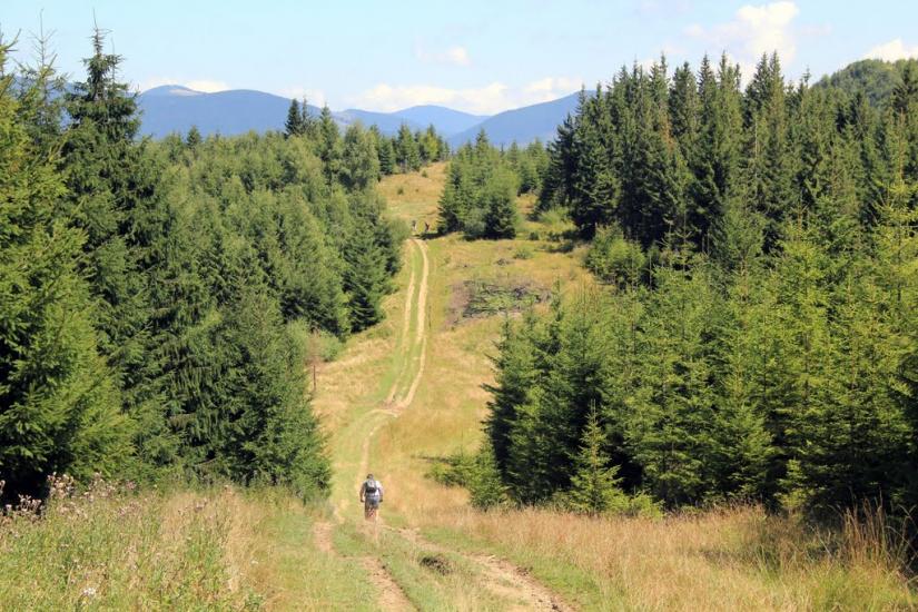 Завийка з panoramio.com - Завийка