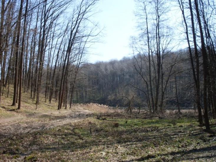 Газове з panoramio.com - Газове