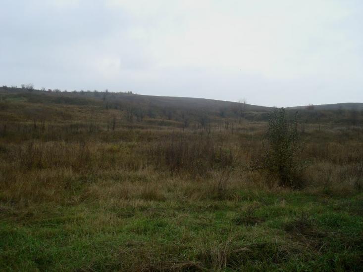 Вільхівчик з panoramio.com - Ольховчик