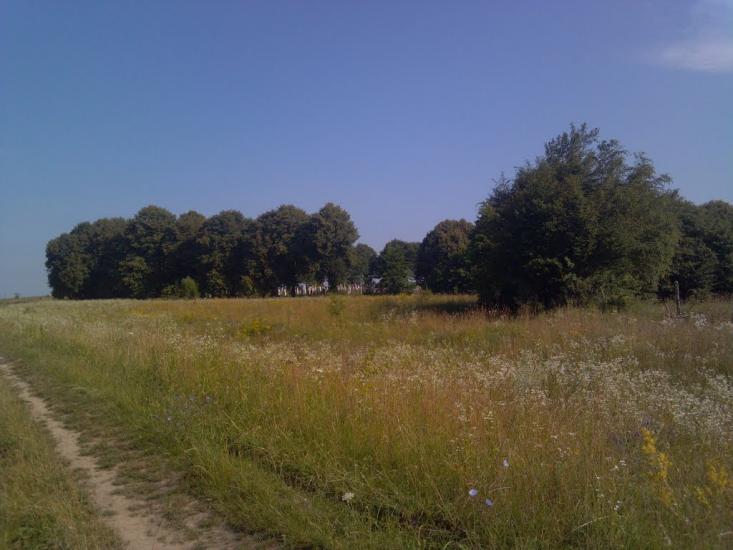 Добряничі з panoramio.com - Добряничі