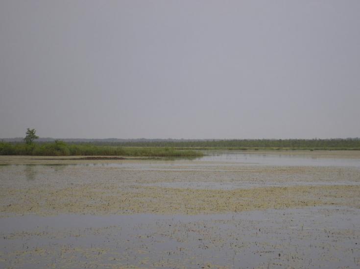 Кованка з panoramio.com - Кованка