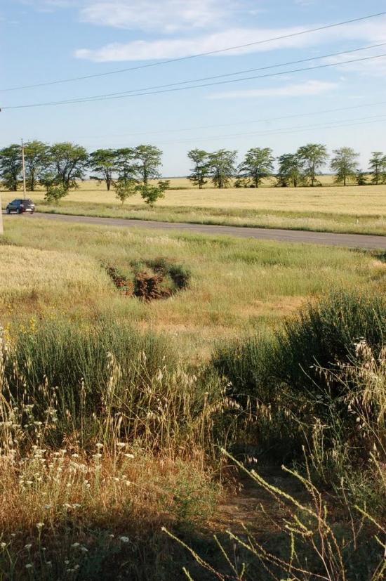 Віліне з panoramio.com - Віліне