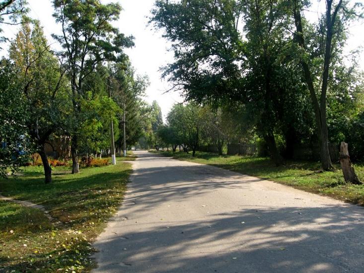 Борова з panoramio.com - Борова