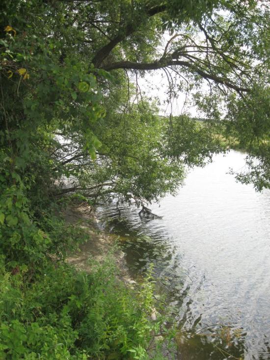 Рогізна з panoramio.com - Рогізна