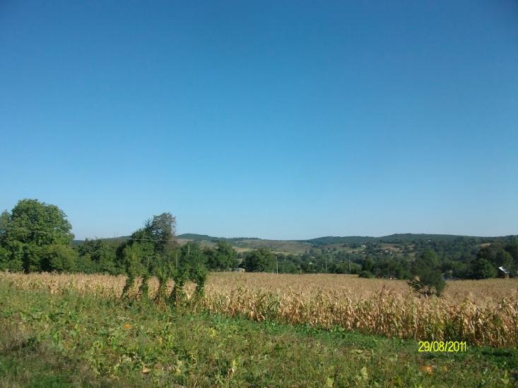 Тарасівці з panoramio.com - Тарасовцы