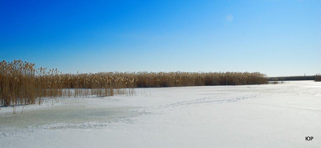 Мала Перещепина з panoramio.com - Малая Перещепина