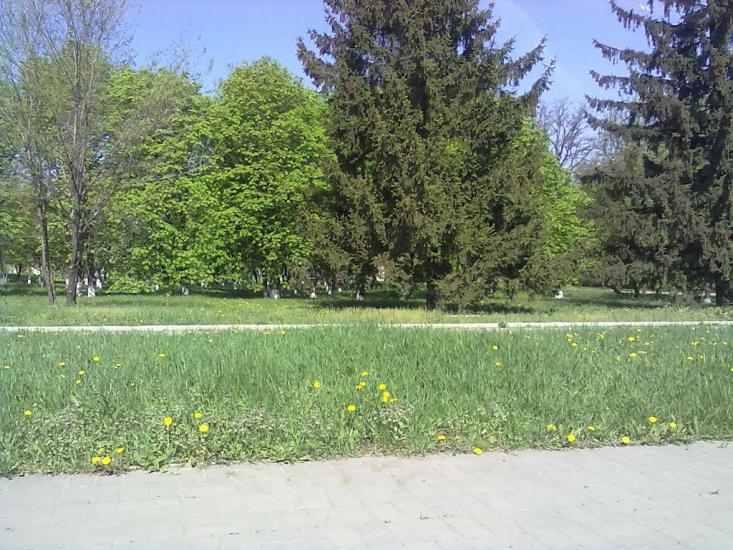 Куйбишеве з panoramio.com - Kuybisheva