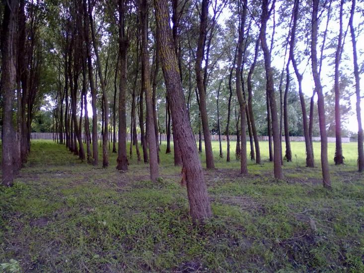 Обмачів з panoramio.com - Обмачів