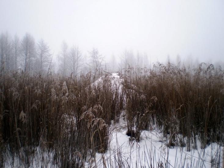 Радецька Болярка з panoramio.com - Радецька Болярка