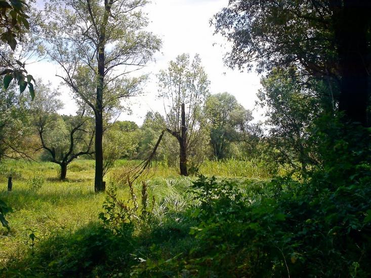 Кіровськ з panoramio.com - Кировск