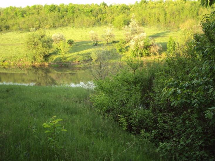 Балта з panoramio.com - Балта