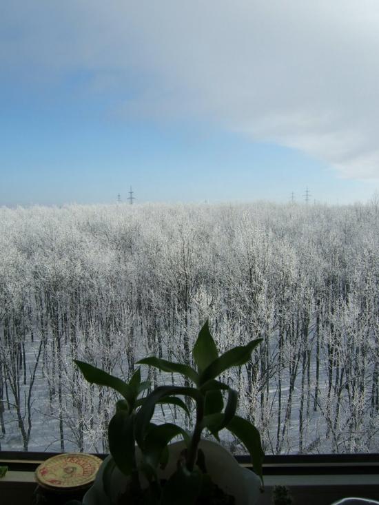 Пісочин з panoramio.com - Пісочин