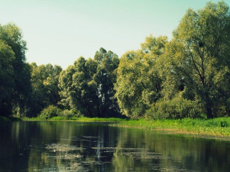 Хрещатик з panoramio.com - Крещатик