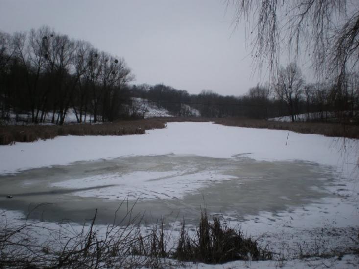 Кищенці з panoramio.com - Кищенцы