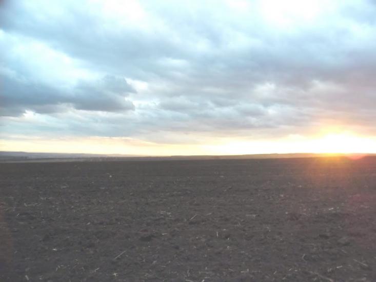Ванчиківці з panoramio.com - Ванчиковцы