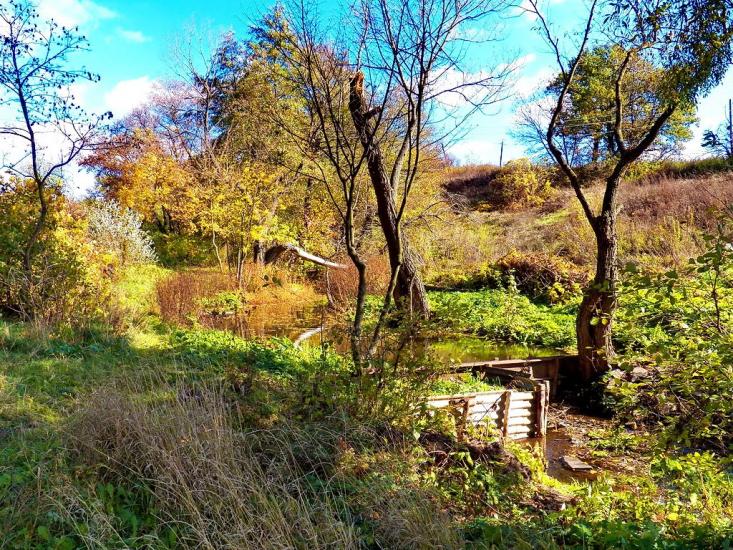 Данилове з panoramio.com - Данилово