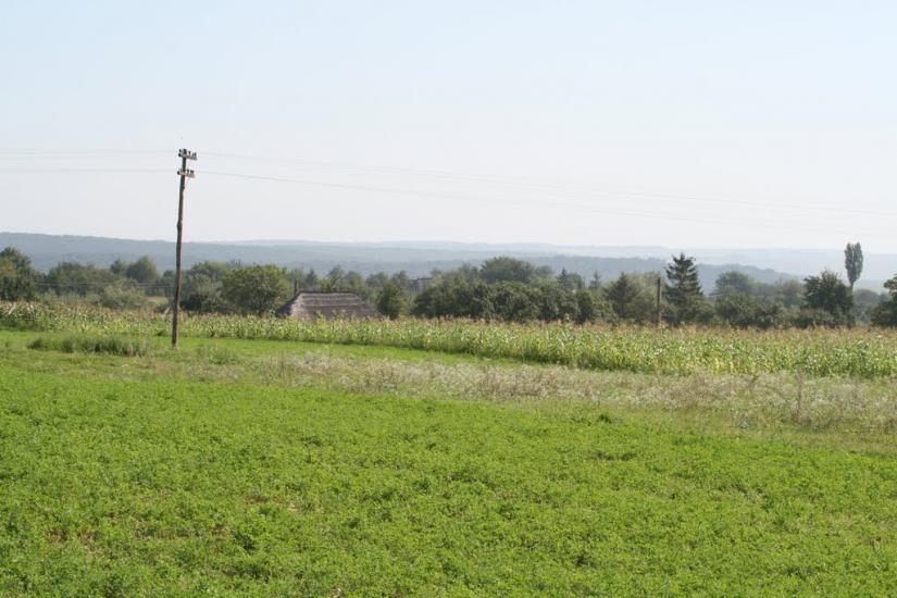 Тарасівці з panoramio.com - Тарасовцы