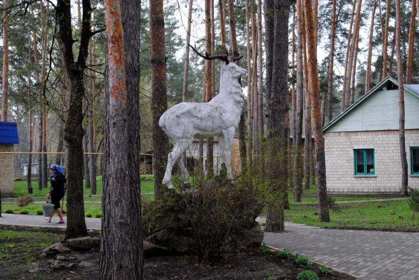 Власівка з panoramio.com - Власівка