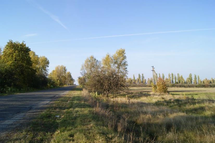 Несвоя з panoramio.com - Nesvoya