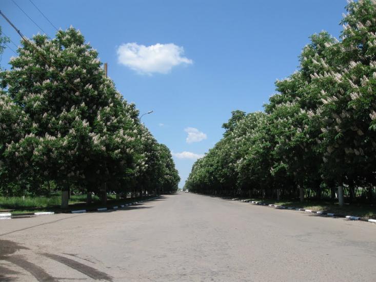 Чаплинка з panoramio.com - Chaplynka