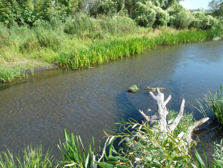 Ялцівка з panoramio.com - Ялцовка